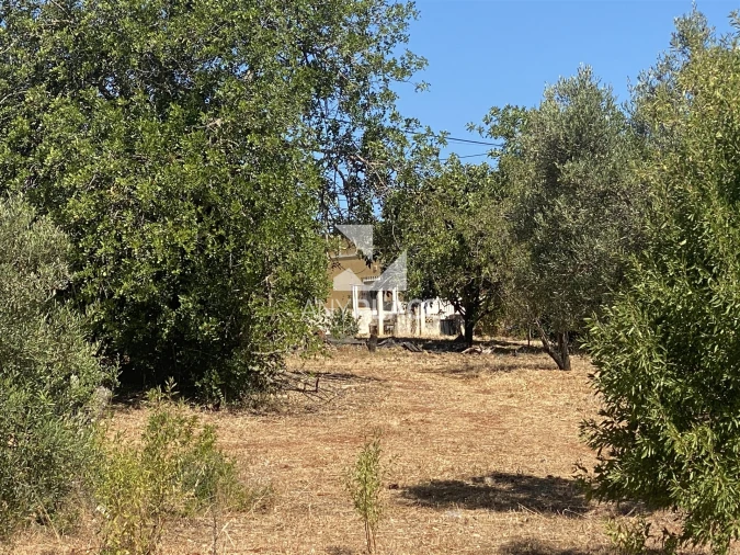 Quinta T4 para Venda em Loule (São Sebastião) Foto 26