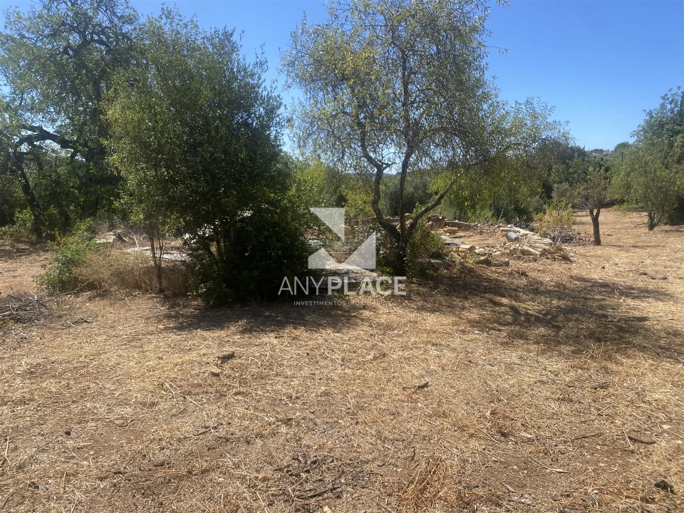 Quinta T4 para Venda em Loule (São Sebastião) Foto 7