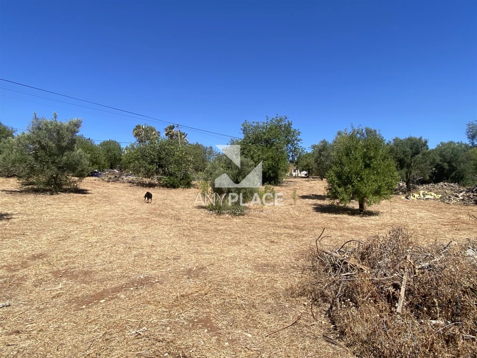 Quinta T4 para Venda em Loule (São Sebastião) Foto 24