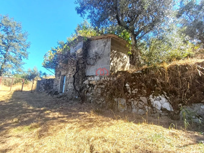 Terreno para Venda em Tavares (Chãs, Várzea e Travanca) Foto 3