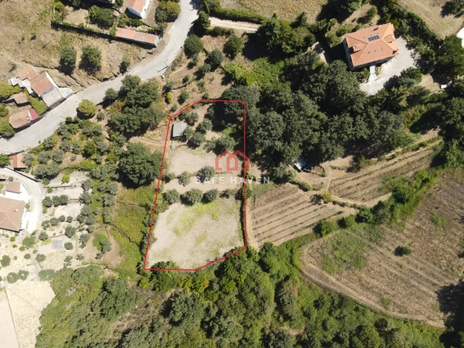 Terreno para Venda em Tavares (Chãs, Várzea e Travanca) Foto 1