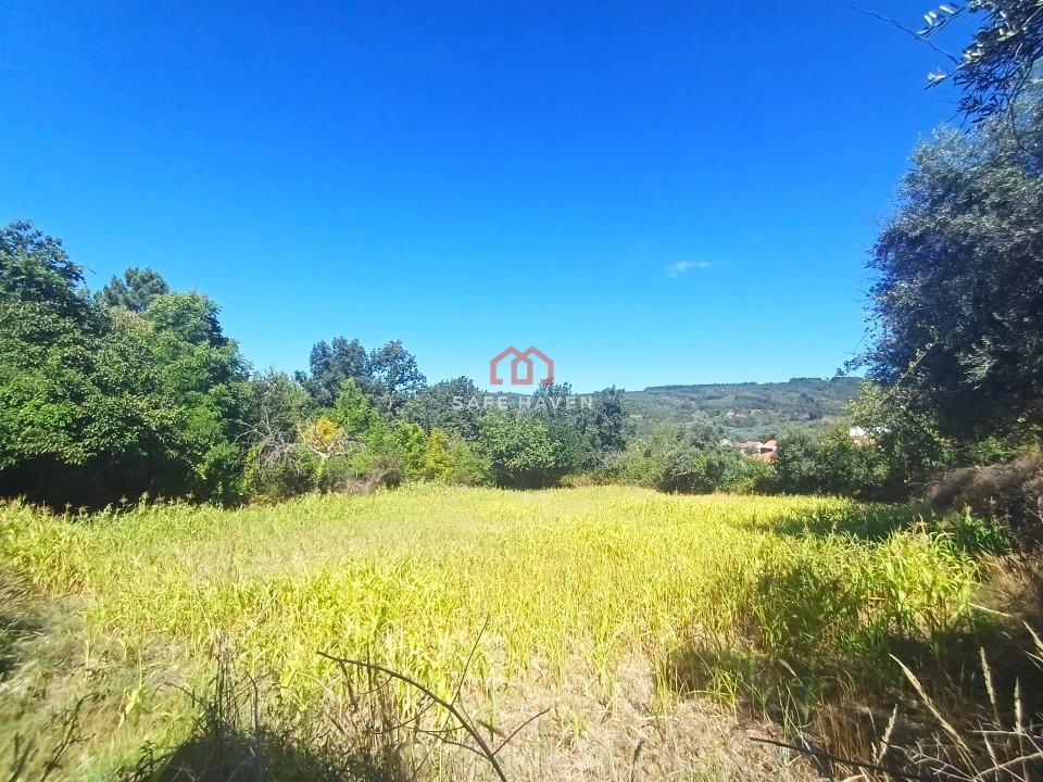 Terreno para Venda em Tavares (Chãs, Várzea e Travanca) Foto 6