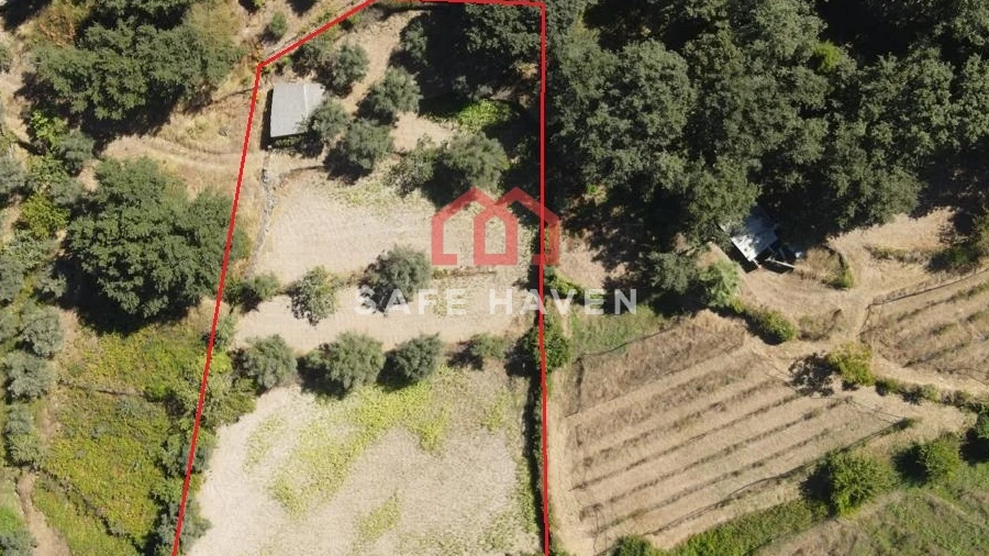 Terreno para Venda em Tavares (Chãs, Várzea e Travanca)