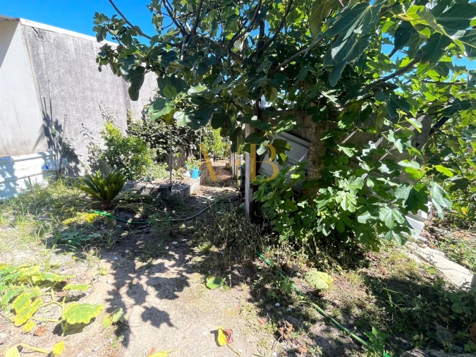 Moradia T3 para Venda em Aguçadoura e Navais Foto 4