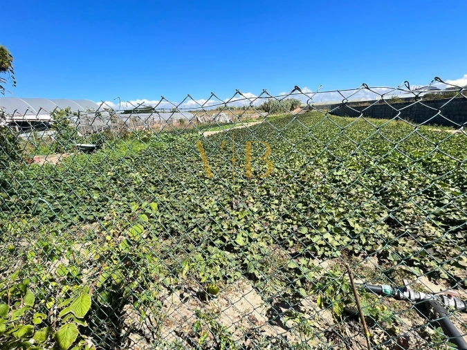 Moradia T3 para Venda em Aguçadoura e Navais Foto 11