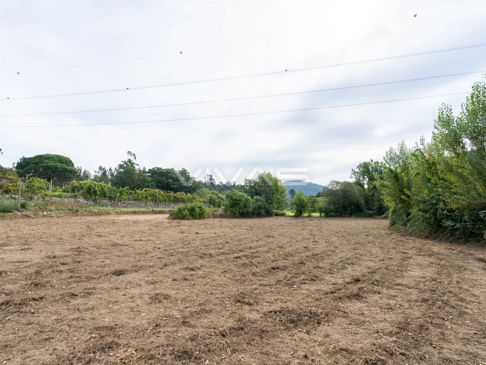Terreno Agricola ou Rústico para Venda em Monsul Foto 7