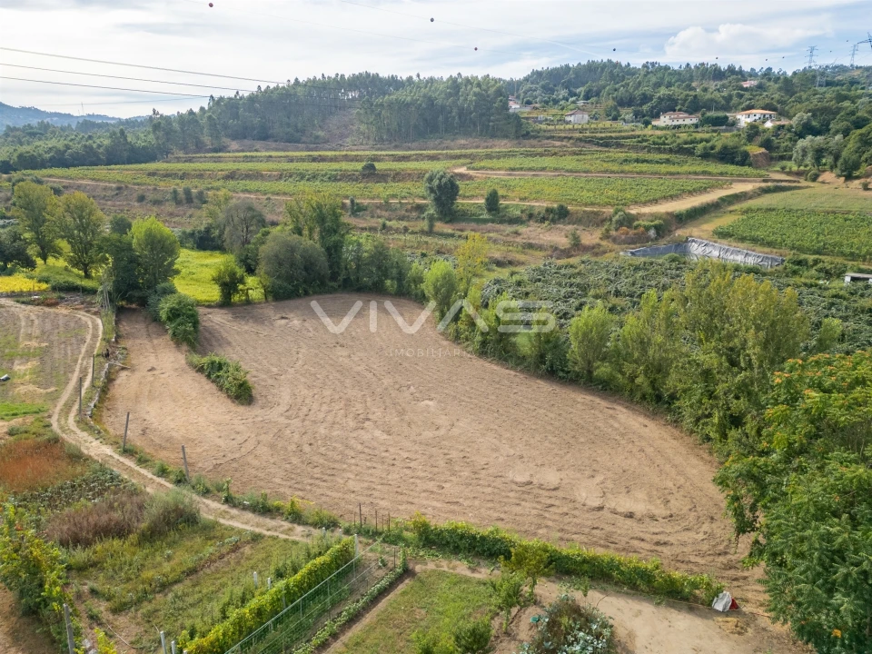Terreno Agricola ou Rústico para Venda em Monsul Foto 3