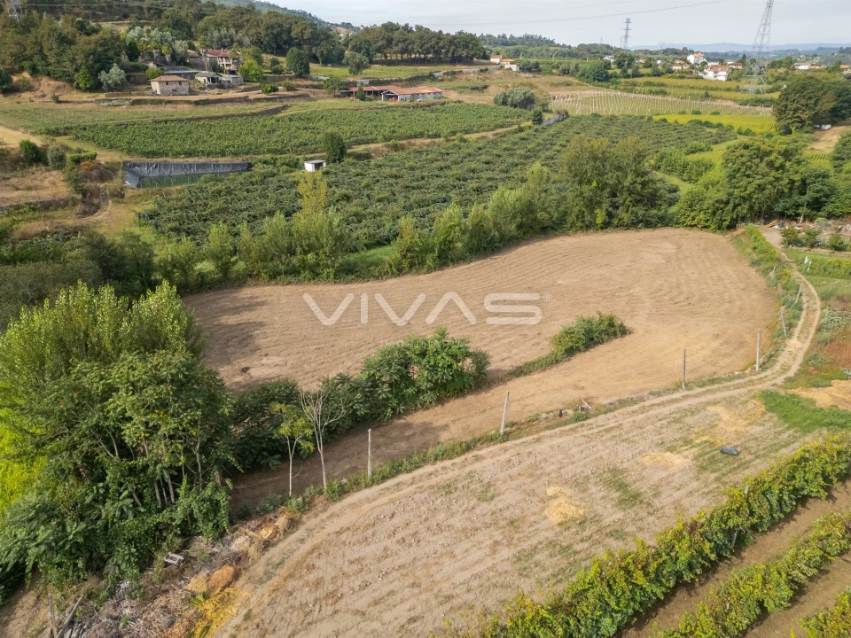 Terreno Agricola ou Rústico para Venda em Monsul Foto 11