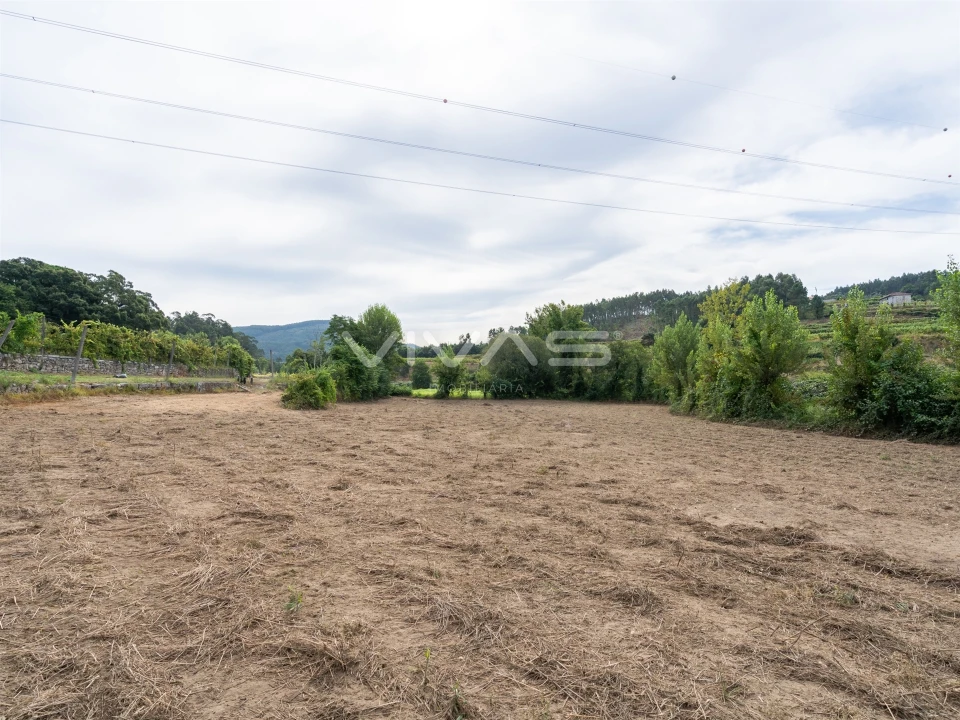 Terreno Agricola ou Rústico para Venda em Monsul Foto 6