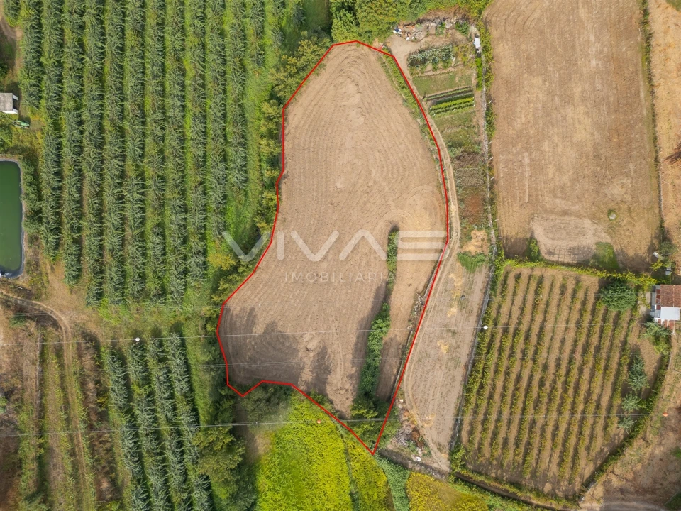 Terreno Agricola ou Rústico para Venda em Monsul Foto 5