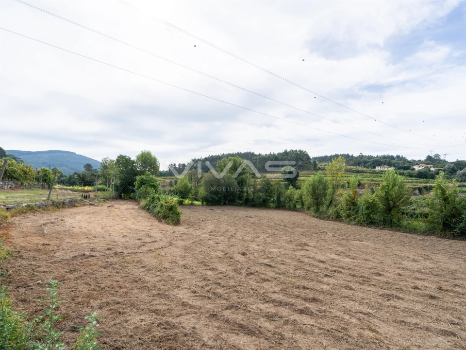Terreno Agricola ou Rústico para Venda em Monsul Foto 10