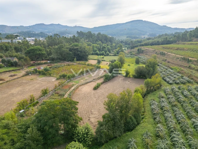 Terreno Agricola ou Rústico para Venda em Monsul