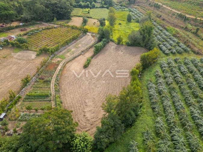 Terreno Agricola ou Rústico para Venda em Monsul Foto 2