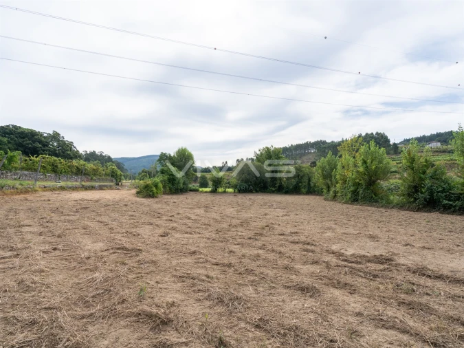 Terreno Agricola ou Rústico para Venda em Monsul Foto 6