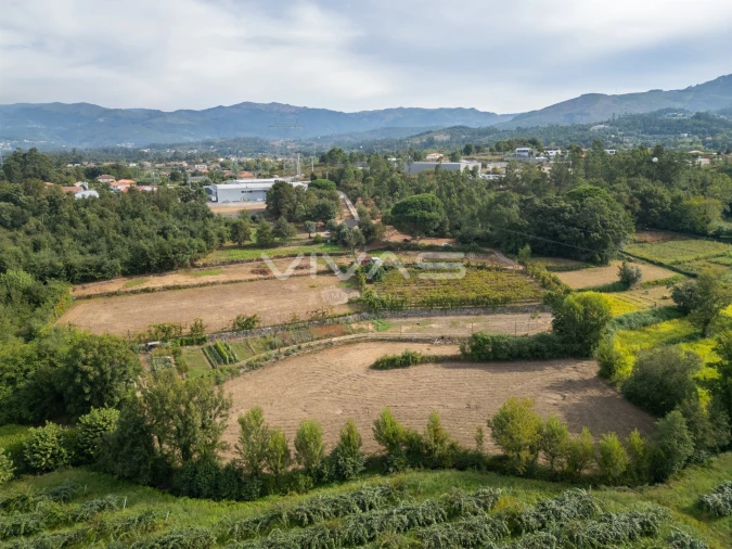 Terreno Agricola ou Rústico para Venda em Monsul Foto 12