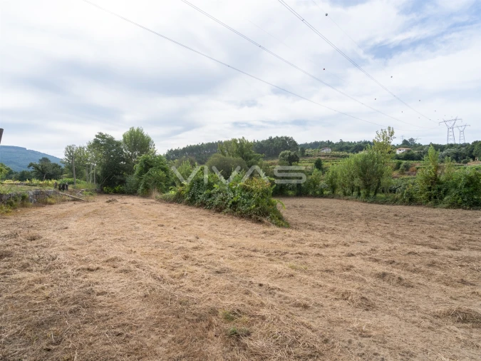 Terreno Agricola ou Rústico para Venda em Monsul Foto 8