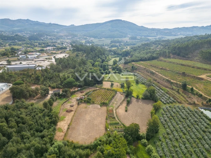 Terreno Agricola ou Rústico para Venda em Monsul Foto 4