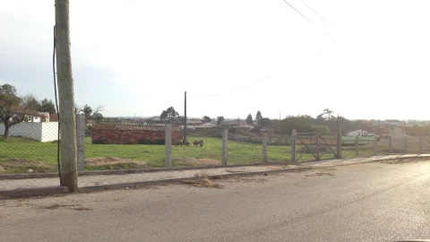 Terreno para Venda em Regueira de Pontes