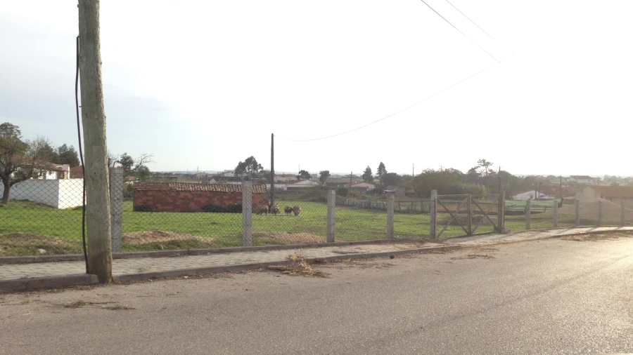 Terreno para Venda em Regueira de Pontes