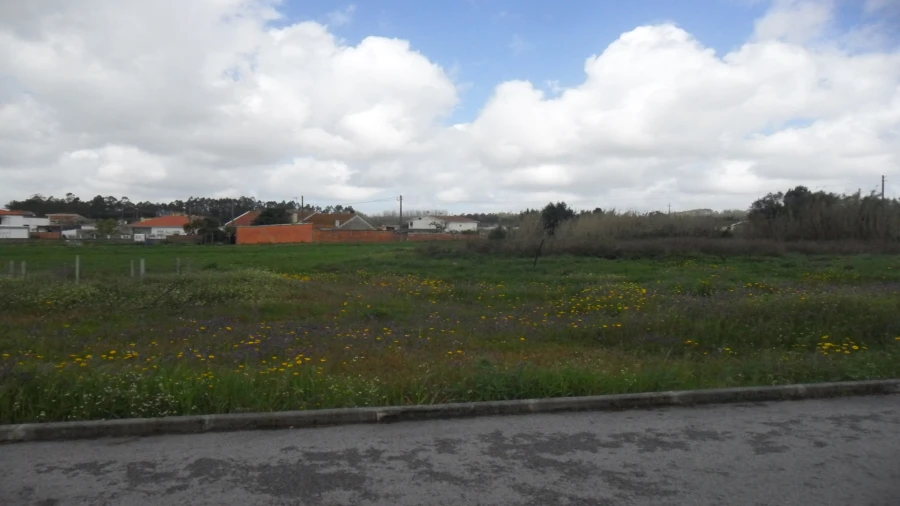 Terreno para Venda em Regueira de Pontes Foto 2