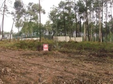 Terreno Comércio / Armazém para Venda em Souto da Carpalhosa e Ortigosa