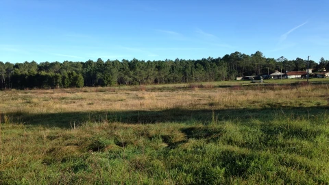 Terreno para Venda em Marinha Grande