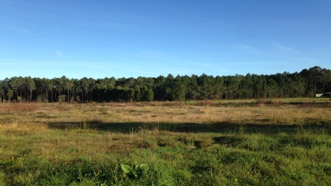 Terreno para Venda em Marinha Grande