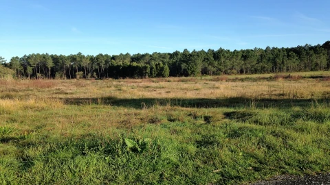 Terreno para Venda em Marinha Grande