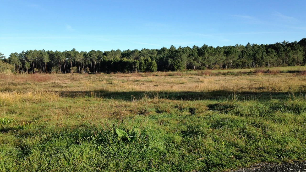 Terreno para Venda em Marinha Grande Foto 6