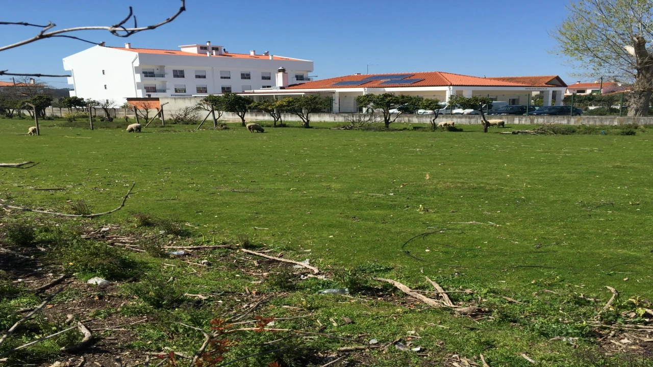 Terreno para Venda em Marrazes e Barosa Foto 5