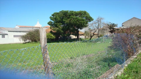 Terreno para Venda em Marrazes e Barosa