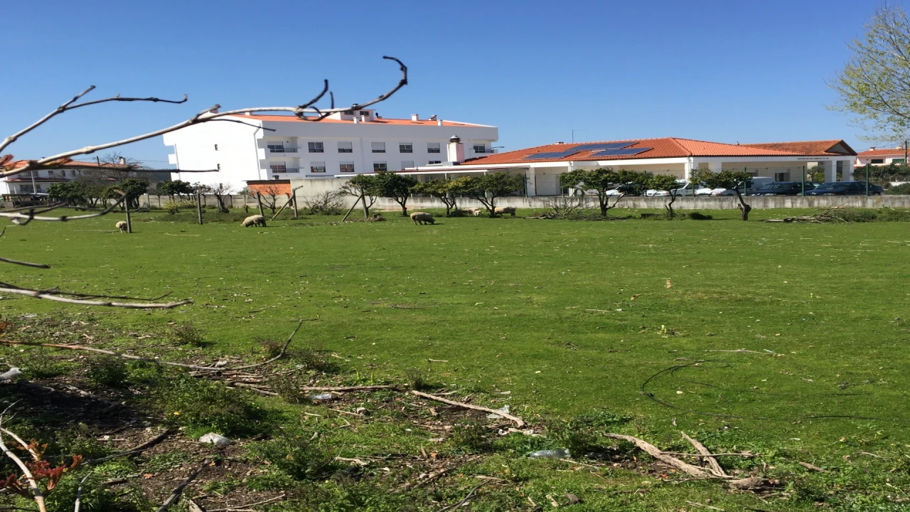 Terreno para Venda em Marrazes e Barosa Foto 1
