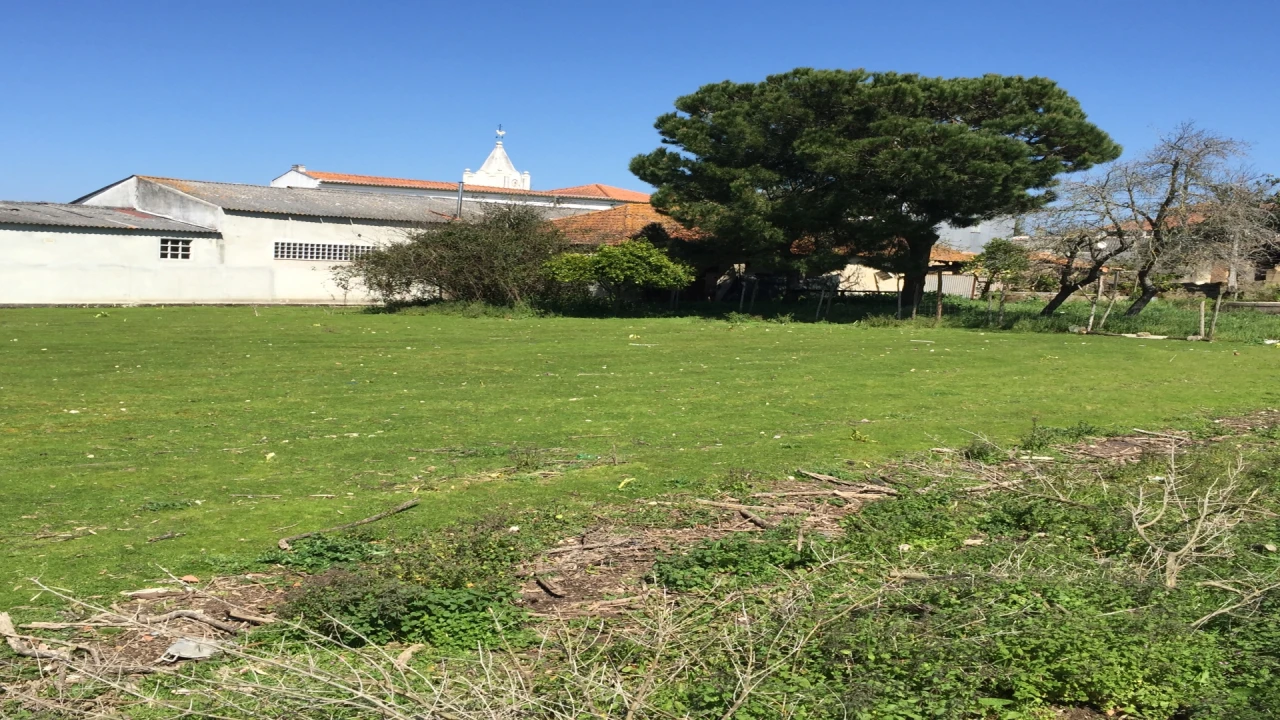 Terreno para Venda em Marrazes e Barosa Foto 4