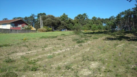 Terreno para Venda em Souto da Carpalhosa e Ortigosa