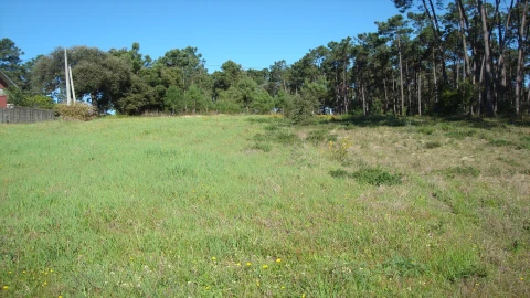 Terreno para Venda em Souto da Carpalhosa e Ortigosa