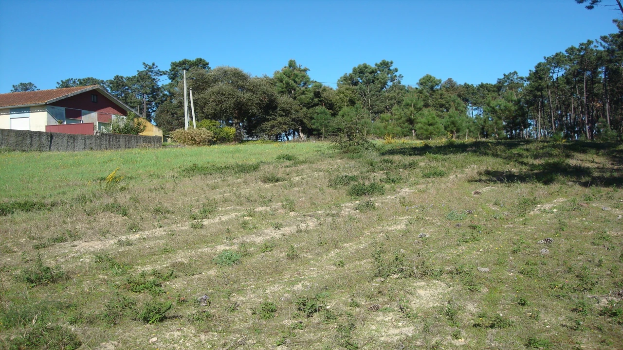 Terreno para Venda em Souto da Carpalhosa e Ortigosa Foto 2