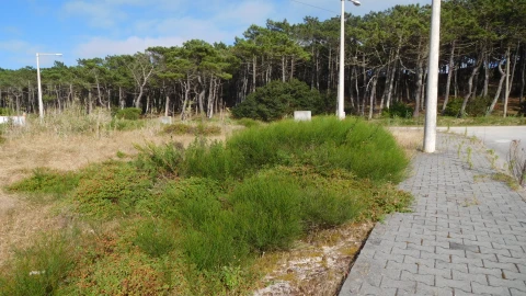 Terreno para Venda em Coimbrão