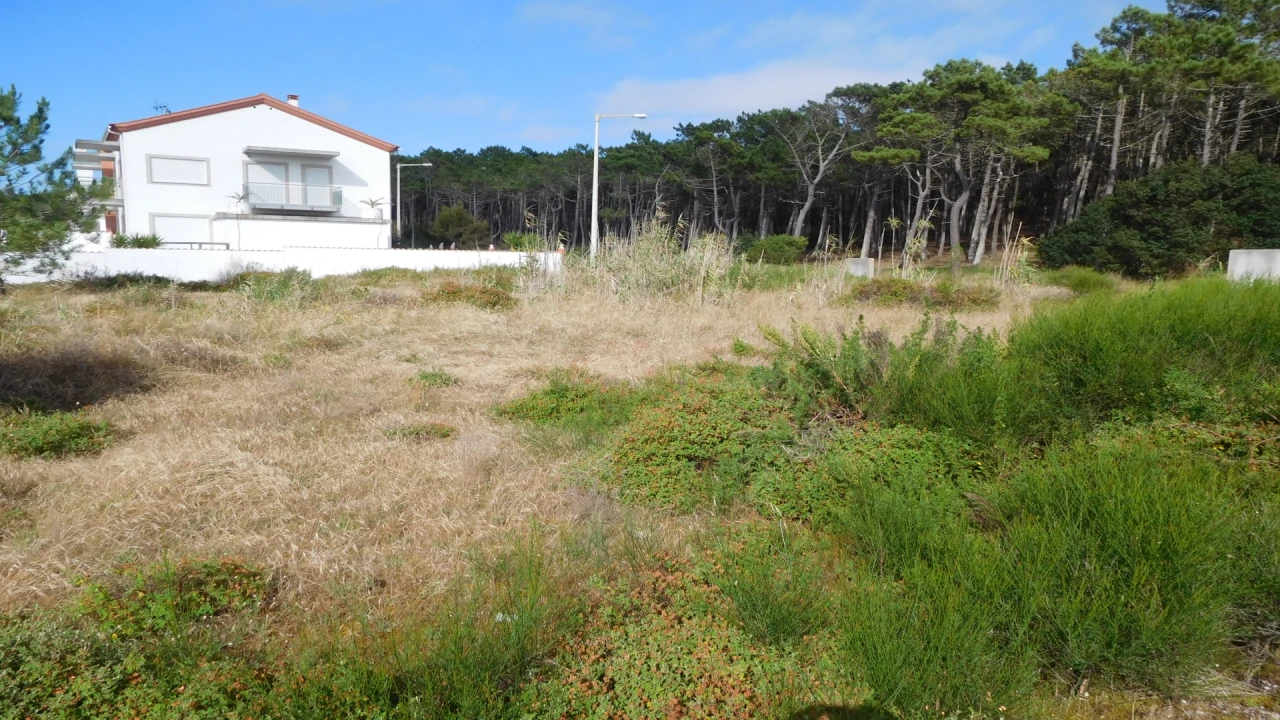 Terreno para Venda em Coimbrão Foto 3