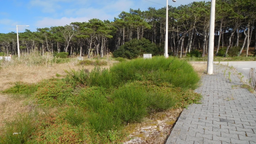 Terreno para Venda em Coimbrão