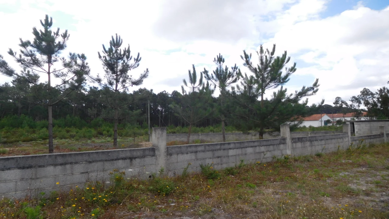 Terreno para Venda em Monte Redondo e Carreira Foto 3
