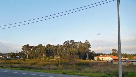 Terreno para Venda em Marinha Grande