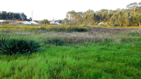 Terreno para Venda em Marinha Grande