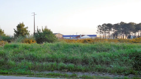 Terreno para Venda em Marinha Grande