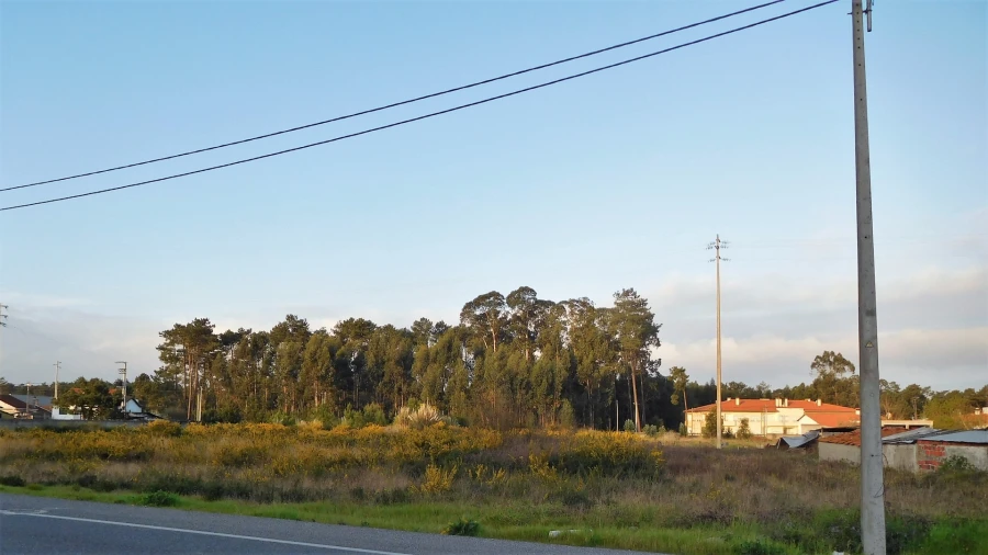 Terreno para Venda em Marinha Grande Foto 2
