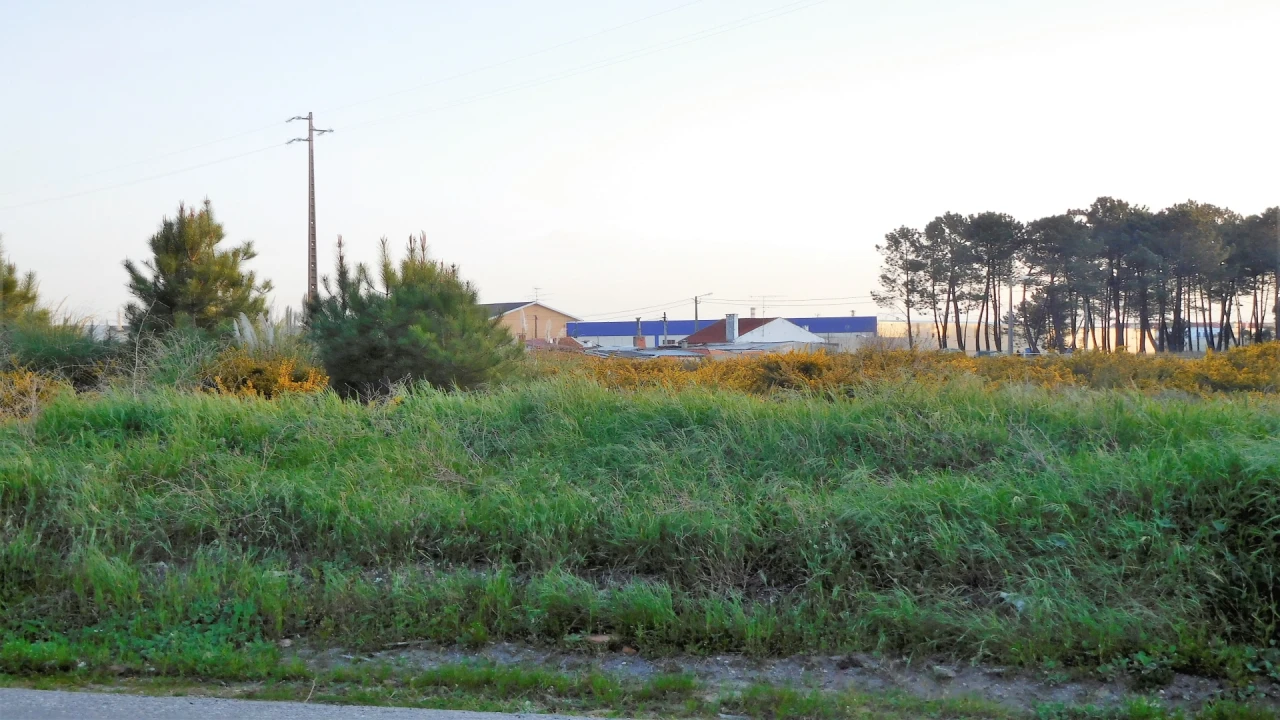 Terreno para Venda em Marinha Grande Foto 3