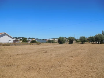 Terreno para Venda em Marrazes e Barosa