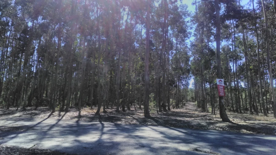 Terreno para Venda em Amor