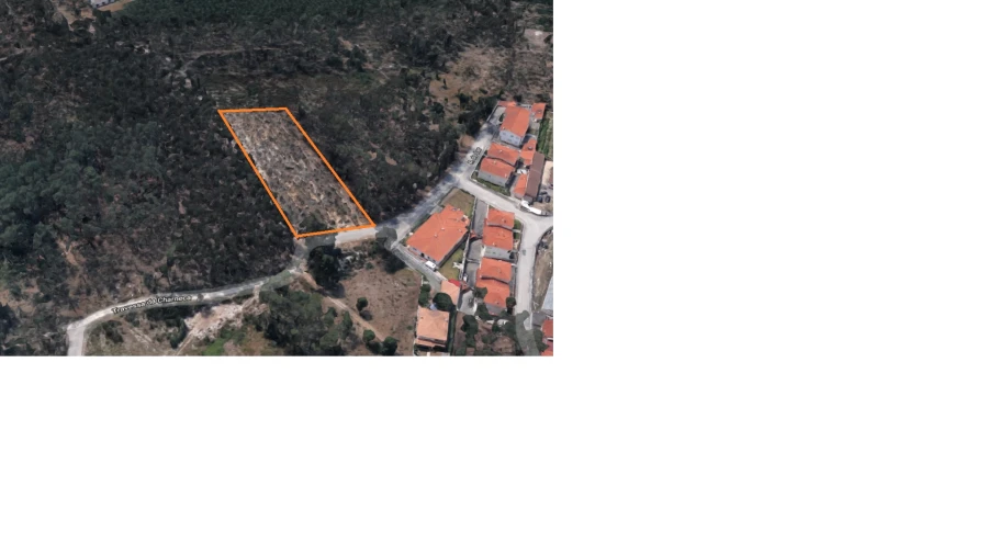 Terreno para Venda em Amor Foto 3