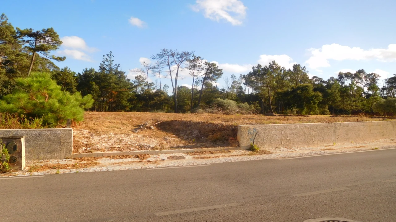 Terreno para Venda em Bajouca Foto 12