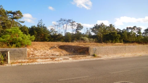 Terreno para Venda em Bajouca